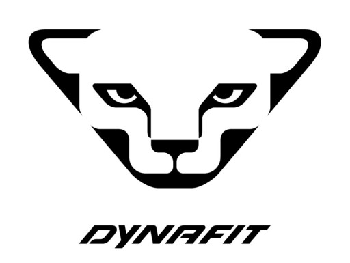 Женские брюки Dynafit Transalper Hybrid 5561 Thyme L