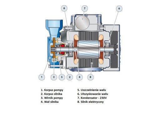 Насос PQ 70 0,6 кВт/400 В 50 л 6,5 бар PEDROLLO