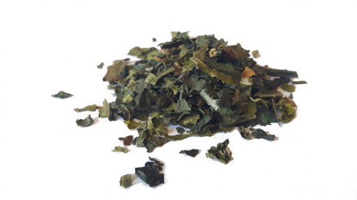 Szczeć ziele szczeci 250g borelioza Zioła z Kurpi