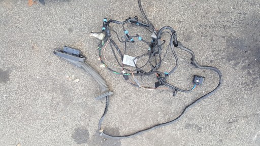 bundle wiring Z door BMW X6 E71 left rear part 9207862 below DOCIAG OE EU