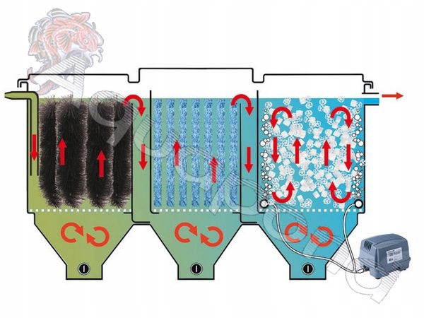 Фильтр для пруда с рыбой своими руками схема