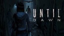 Zdjęcie oferty: UNTIL DAWN PL PS4