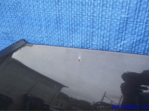 фото №7, Hyundai santa fe ii 06-12 капот комплектная демонтаж