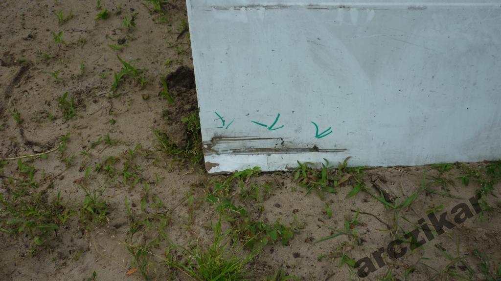 фото №3, Дверь передние правое renault kangoo iii 08-